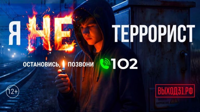 Выход 31.3
